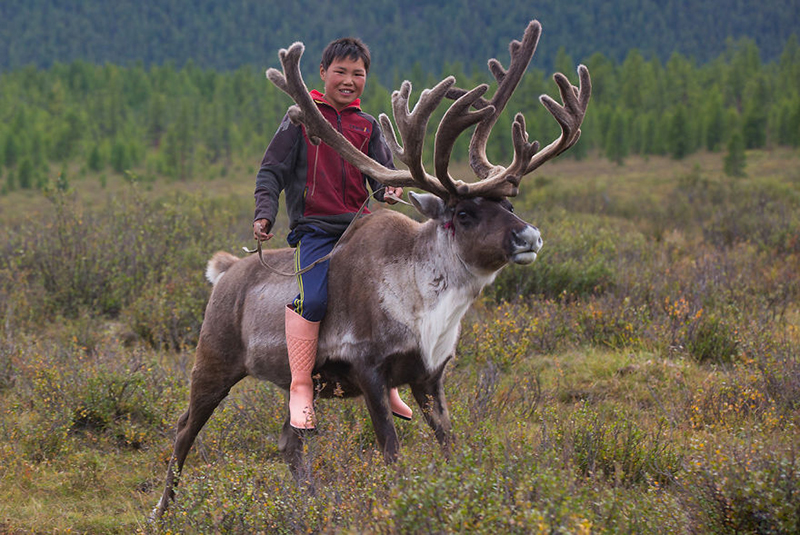 reindeer family photo mongolia